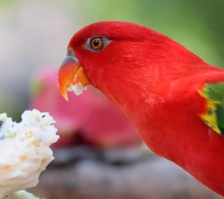 Untitled-design-7-q7yo62r9qfgdb3fxb0dpiyybyuf7mm0mwj7u2yfrq8