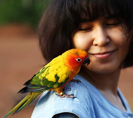 woman-with-parrot-on-shoulder-q5i5pepm32gkghzqptu26b9szmk7y4oe1jjp5s1ycg